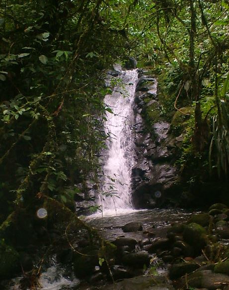 Cascada Chambira